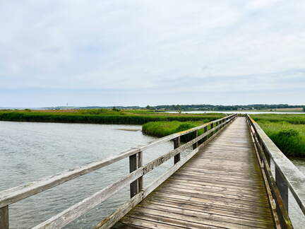 24-06-21 13-54-50 9751